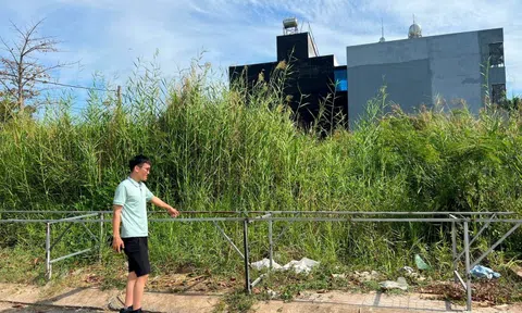 Sau khi bảng giá đất mới có hiệu lực, đất nền phía Nam có diễn biến bất ngờ