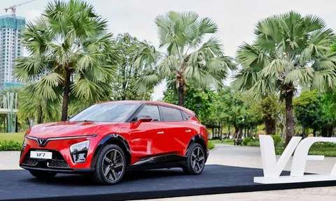 VinFast cảnh báo chiêu trò lừa đảo kêu gọi góp vốn vào quỹ đầu tư của công ty hoặc Vingroup