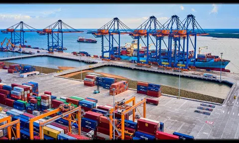 Danh tính 2 nhà đầu tư mua gần 800.000 cổ phiếu 'ế' của Gemadept