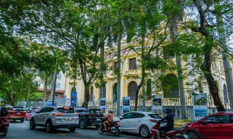 Hải Phòng - Miền đất hứa hẹn