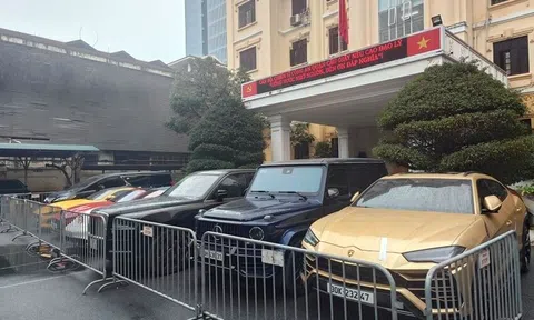 Hành trình lần tìm manh mối, bắt giữ trùm lừa đảo TikToker Mr Pips