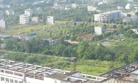 'Cò đất' nhộn nhịp quanh bệnh viện nghìn tỷ đắp chiếu ở Hà Nam