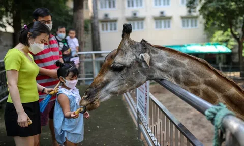 Chủ tịch TP.HCM nói về vụ Thảo Cầm Viên nợ thuế gần 850 tỷ đồng