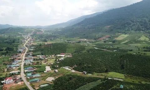 Kỳ lạ, 400 hộ dân mang hộ khẩu Lâm Đồng nhưng đất đai do Đắk Nông quản lý