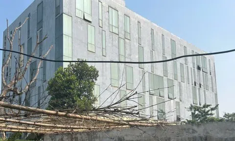 Cận cảnh khu 'đất vàng' ở Thanh Hóa đấu giá hơn 88 tỷ đồng