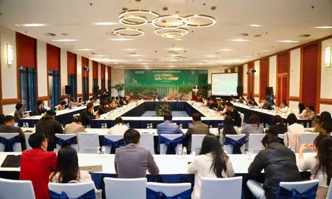 Chung cư Hà Nội: Phía Nam đang nổi lên như một lựa chọn hấp dẫn với mức giá cạnh tranh hơn