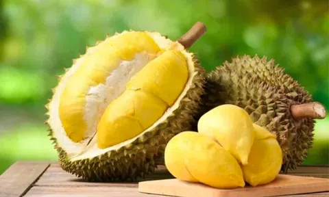 "Thu 10 đồng - lãi 7 đồng" từ sầu riêng, một DN trên sàn quyết định thanh lý 36ha đất bên Lào để tăng trồng sầu riêng