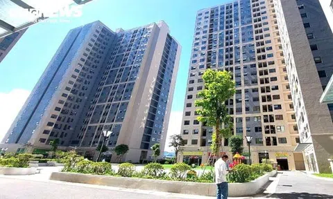 Chủ tịch Đà Nẵng đề nghị cán bộ có ô tô cần trả lại chung cư thuê của Nhà nước