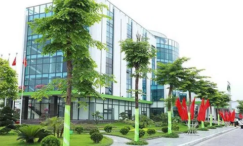 Nhựa Tiền Phong dự chi hơn 194 tỷ đồng tạm ứng cổ tức đợt 1 năm 2024