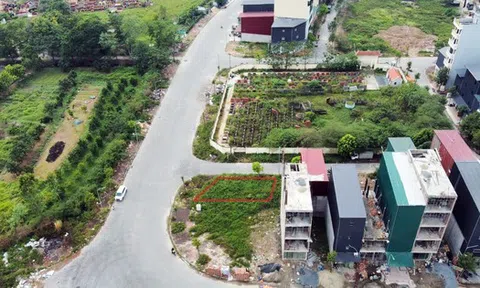 Người trúng đấu giá lô đất 'view' nghĩa trang 262 triệu đồng/m2 đã nộp tiền