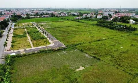 Hà Nội “nhộn nhịp” đấu giá đất dịp cuối năm
