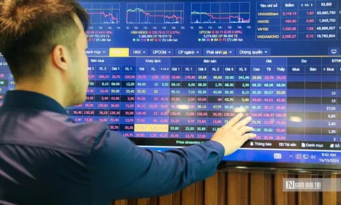 Hé lộ định giá cổ phiếu HPG khi Dung Quất 2 sắp vận hành