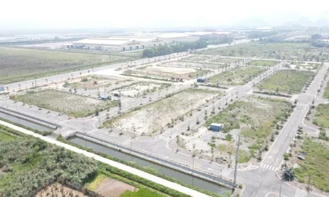 Nhộn nhịp chuẩn bị đấu giá đất tại Ninh Bình, Nam Định, Hưng Yên: Hơn 1.100 thửa đất đem đấu giá, có nơi giá khởi điểm chỉ từ 2,5 triệu đồng/m2