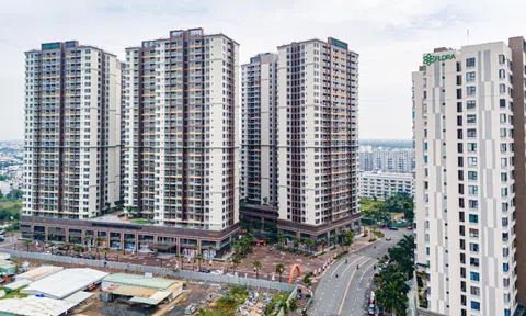 Giá căn hộ tăng cao, đâu là cơ hội cho người mua ở thực?