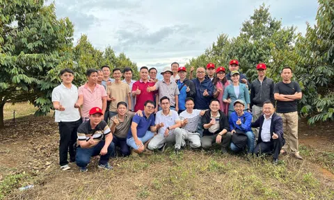 Tâm sự cổ đông 'đu đỉnh' HAG, cắt lỗ và mua lại vùng 2.000-3.000 đồng/cp: HAGL đang thay đổi rất lớn mà nói ra thì mọi người không tin