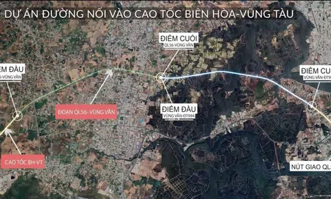 Dự án đường nối cao tốc Biên Hòa - Vũng Tàu: Liên danh của Vinaconex bị "tuýt còi" vì gian lận trong đấu thầu