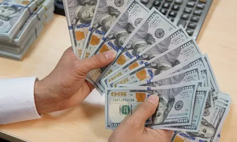 Dự báo mới nhất về giá USD tại Việt Nam