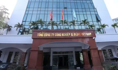 Những DN của Bộ Xây dựng năm 2024: VICEM lỗ 1.400 tỷ, lãi lớn nhất thuộc về công ty Bộ đang muốn thoái vốn