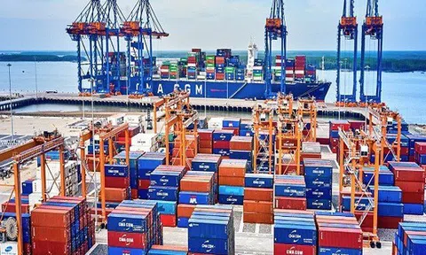 Hoàn tất chào bán gần 103,5 triệu cổ phiếu, Gemadept tăng vốn lên hơn 4.100 tỷ đồng