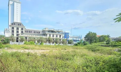 Nợ thuế 98 tỷ, doanh nghiệp bị thu hồi gần 3.000m2 đất dự án