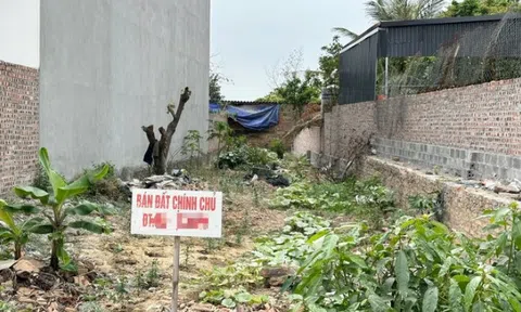 Bất ngờ diễn biến đất nền Hà Nội, giá chạm ngưỡng trung bình 70 triệu đồng/m2