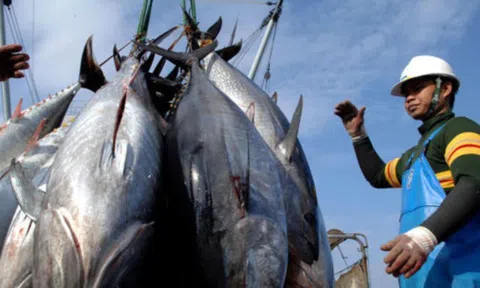 Lưu ý quan trọng cho doanh nghiệp xuất khẩu thủy sản sang Trung Đông