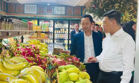 “Ông trùm” quản lý BĐS, TTTM… chi 3 triệu USD mở siêu thị cao cấp rộng 3.000m2 ngay sân bay