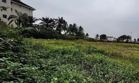 Hiện trạng dự án tổ hợp khách sạn 5 sao vừa bị Quảng Bình thu hồi đất