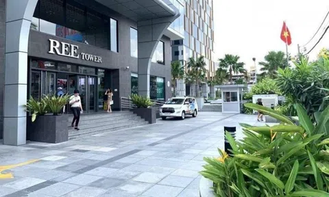 Quỹ ngoại Singapore muốn tăng sở hữu tại REE lên gần 45% sau khi chi gần 2.000 tỷ mua cổ phiếu