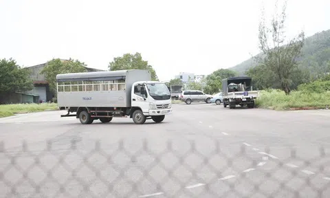 Doanh nghiệp mới thành lập trúng đấu giá 2 dự án 'khủng' ở Bình Định