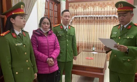 Đưa thông tin gian dối, lừa đảo chiếm đoạt 1,2 tỉ đồng