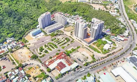 Doanh nghiệp trúng đấu giá khu đất gần 600 tỷ tại Bình Định