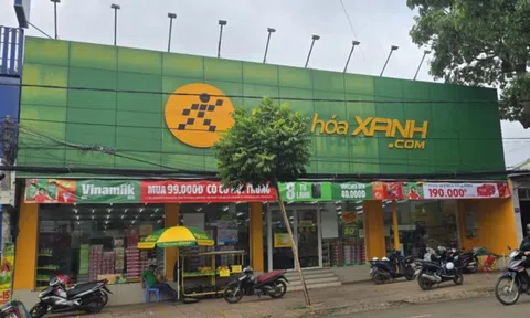 Đắk Lắk: Hàng loạt cửa hàng thu hồi sản phẩm giá đỗ ngâm chất cấm