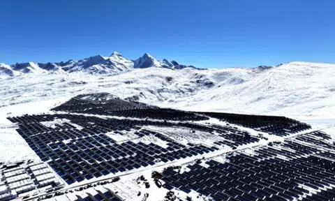 'Ông lớn' đằng sau siêu công trình điện mặt trời cao nhất thế giới: 2,8 tỷ USD được rót vào Trà Vinh và Đắk Lắk, muốn lập trung tâm R&D tại Việt Nam