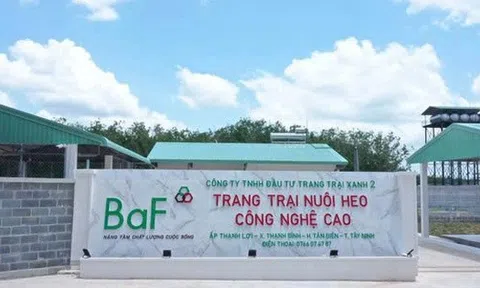 Baf Việt Nam muốn ‘thâu tóm’ thêm 1 công ty chăn nuôi