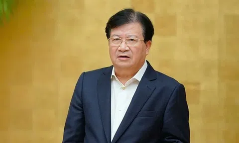 Các ông Trịnh Đình Dũng, Trần Tuấn Anh liên quan gì đến vụ điện mặt trời?