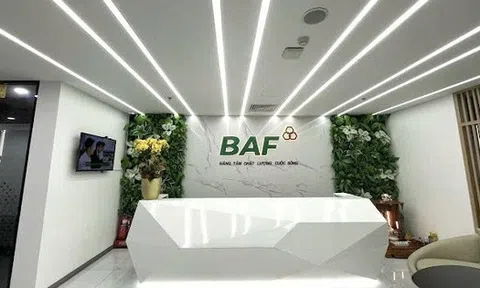 Baf Việt Nam nhận chuyển nhượng 70% vốn góp một doanh nghiệp tại Gia Lai