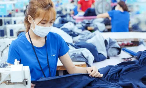 Công ty may mặc có bố là Chủ tịch, con giữ chức CEO báo lãi kỷ lục