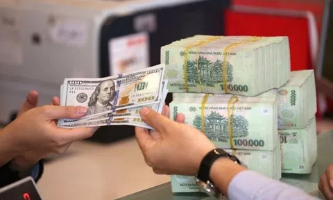 Việt Nam Đồng mất giá mạnh nhất trong 13 năm dù NHNN bán lượng lớn ngoại tệ can thiệp