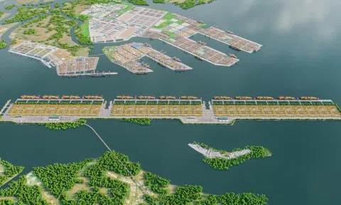 ‘Ông trùm’ vận tải biển Việt Nam tin siêu cảng Cần Giờ vượt Singapore