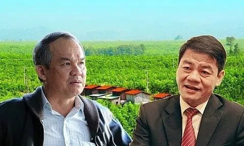 Tỷ phú Trần Bá Dương đón tin vui sau nhiều năm cùng HAGL Agrico gồng khoản lỗ nghìn tỷ: Tất toán hết nợ với bầu Đức, sổ đỏ 32.500 ha đất sắp về tay, cổ phiếu kịch trần