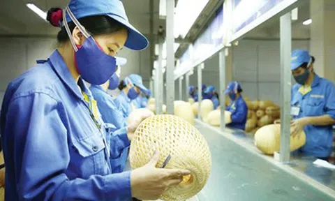 Hỗ trợ doanh nghiệp nhỏ và vừa tìm đường ra biển lớn