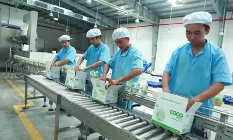 Thu nhập Chủ tịch công ty bán gần 12.000 tỷ nguyên liệu cho Vinamilk, Masan, Trung Nguyên có thể lên tới hơn 5,7 tỷ đồng trong năm 2025
