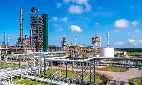 Doanh nghiệp tỷ đô đầu tiên lên niêm yết HoSE năm 2025: Chào sàn ngày 17/1, doanh thu hàng năm hơn 100.000 tỷ đồng, cung cấp mặt hàng thiết yếu phục vụ hàng chục triệu người