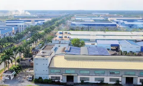 Tân Tạo 9 lần đề nghị được đưa ra khỏi diện cảnh báo