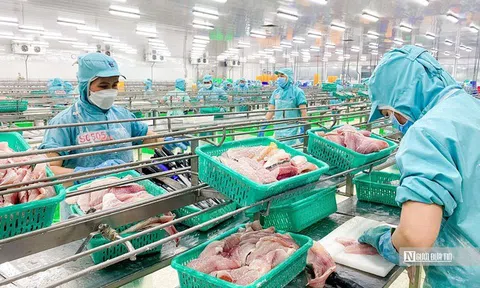 Ngành thủy sản đối mặt với nhiều biến động trong năm 2025