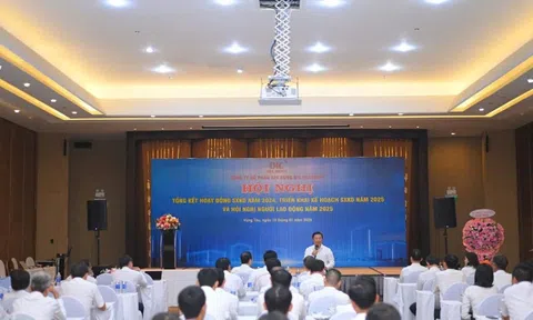 DIC Holdings: Doanh thu lần đầu tiên vượt 1.000 tỷ đồng