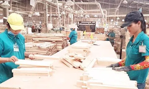 Doanh nghiệp gỗ Bình Định đặt mục tiêu xuất khẩu đạt 1,2 tỷ USD trong năm mới