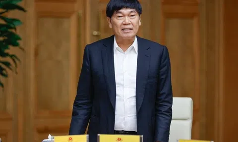 Vì sao tỷ phú Trần Đình Long muốn khai thác “mỏ kho báu” 500 triệu tấn ở Việt Nam lớn nhất Đông Nam Á ?