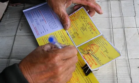 Thu 740 tỷ, chi trả 28 tỷ, thủ tục bồi thường bảo hiểm xe máy có dễ?